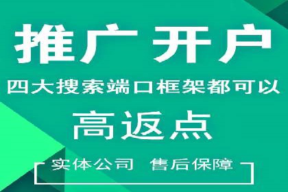 sem代运营机构成功案例：打造高效广告投放策略